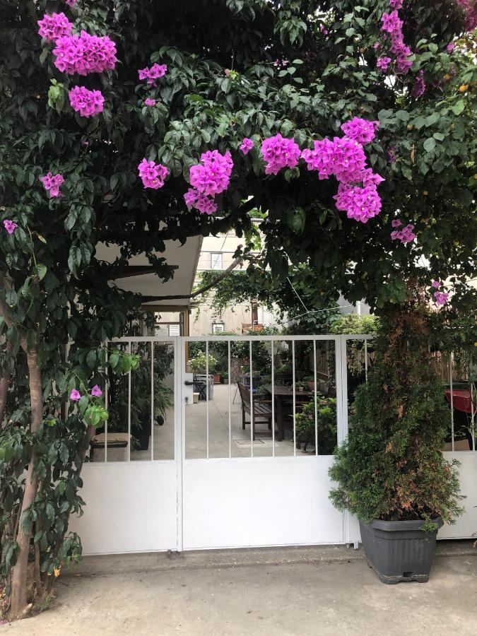 Apartmani Zuban Primošten Exterior foto