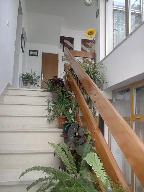 Apartmani Zuban Primošten Exterior foto