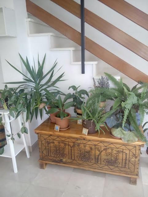 Apartmani Zuban Primošten Exterior foto